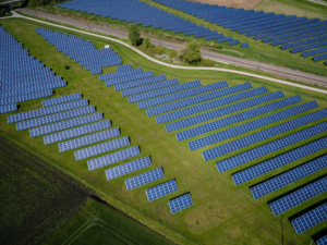 solar panels showing the steps taken towards being net zero