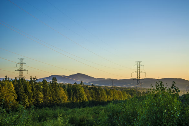 a scenic view of trees and mountains as a result of outsourcing your energy procurement